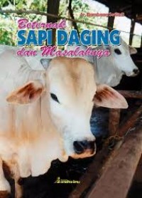 Image of Beternak Sapi daging