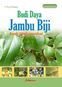 Image of Budi Daya Jambu Biji Buah Multimanfaat