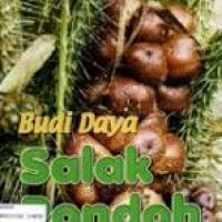 Image of Budi Daya Salak Pondoh